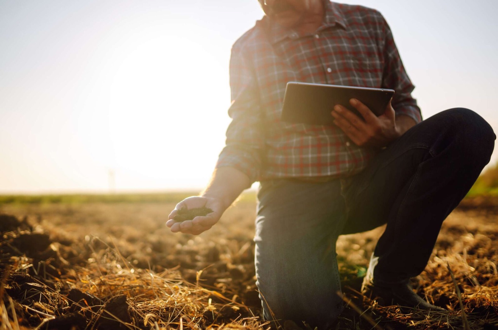 Produtor examinando o solo da lavoura com um tablet na mão, ao pôr do sol